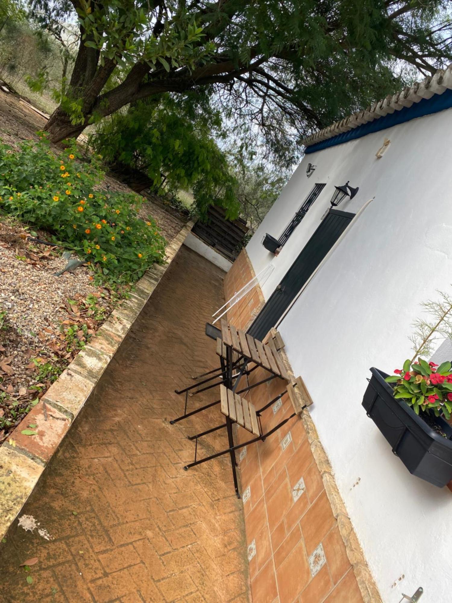 Casa Los Laureles Pilas Luaran gambar