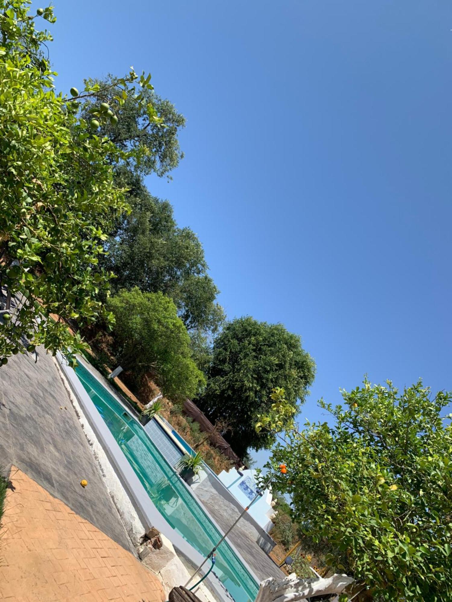 Casa Los Laureles Pilas Luaran gambar
