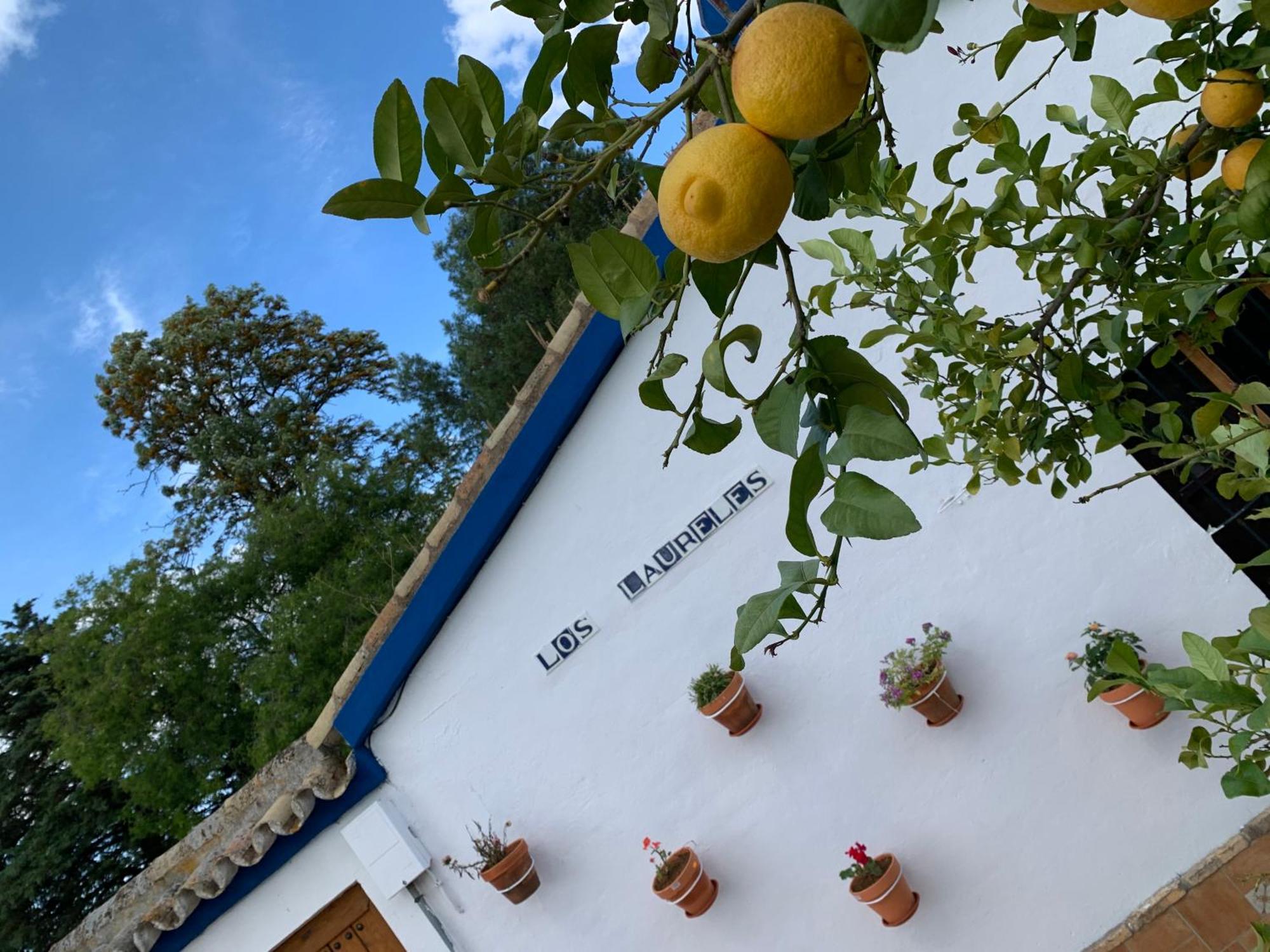 Casa Los Laureles Pilas Luaran gambar