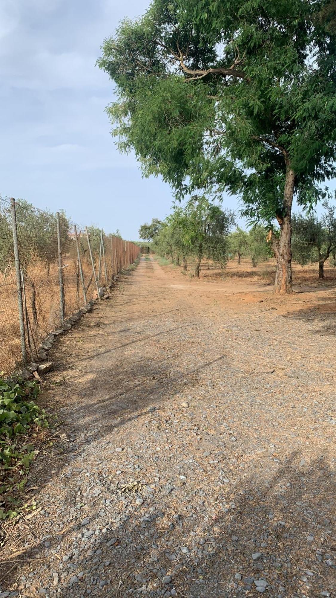 Casa Los Laureles Pilas Luaran gambar